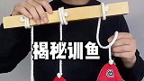 揭秘训鱼魔术，你看懂了吗