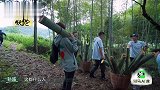 孙越喊摄像大哥帮忙扛竹子，没想到全员一溜烟全跑了！