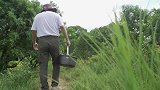 吃杨梅，我喜欢荤素搭配