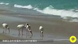 为非洲农村设计的“竹塔”, 每天收集100升水, 够喝一周!