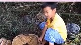 暴雨把上游水闸冲垮了，儿子赶紧拿个筐去堵鱼，这几天不缺吃了