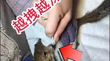 再晚一步就是华佗再世也救不了它了