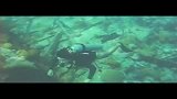 旅游焦点-20111123-史上最恐怖潜水-百慕大异形入侵