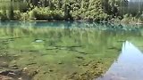 旅游-五花海
