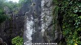 贵州一石壁发现化石，像蜈蚣又像蝎子，更像两亿年前的贵州龙
