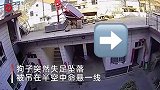 狗屋顶玩耍不慎失足 牵引绳挂脖被吊半空命悬一线