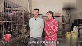 小伙卖老母鸡，谁知美女分5步就把母鸡偷走了，真有趣
