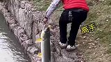 钓了条大鱼，这是什么鱼啊