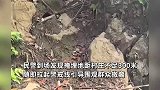 村民放羊发现“铁罐头”，警方确认系地雷，已联系专业人员成功爆破