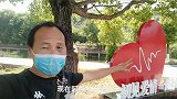 夷陵区的这个村为了蹭流量，居然打造出1条纯美爱情路，你来过吗