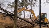 为什么履带式挖掘机是清理树木平整土地最有效的工程机械 ？