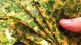 明天早餐吃什么韭菜笨蛋小软饼
