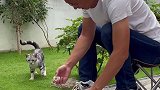 啥也不说了，看到最后的记得给猫孩子打个分新农人计划2021 山东生活日记 田园生活
