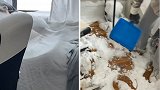 美国女子忘记关窗 一夜之间卧室落满5厘米厚的雪
