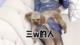 我说的没毛病吧？你的女友已上线