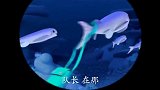 海底小纵队：一只掉队的小飞鱼以为小纵队要捕获它 真是想多了！