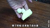 风味潮汕“生腌虾姑”做法，被誉为“潮汕毒药”的特色美食