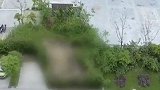 海南海口：开窗见坟地！养老房竟成墓景房，业主心里发毛