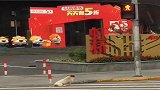 城市里的流浪狗也学会了遵守交通规则的，红灯停绿灯行，成精了
