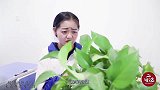 二浪用“天眼”套路同学的零食，被老师一眼识破，这下惨了