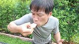 人的腿骨有多结实，老外用液压机模拟实验，看完默默吃了俩钙片！