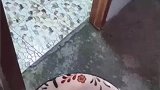 女子月子期间为丈夫洗衣做饭