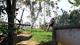得闲有空抓只鸡，柴火灶上一炖，汤鲜味美，下饭真带劲
