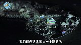 什么是薄膜干涉现象？当光线照到肥皂泡上，有趣的科学现象发生了