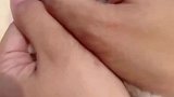 太可爱了吧，小猫咪