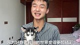 弟弟陪哈士奇看电影，看到吃肉画面它也想吃，二哈：放开我！