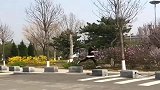 小青年没在家里看手机，一定是出来干这个了！