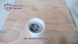 液氮冷冻的超导体遇上强大的钕磁铁会发生啥？老外进行磁悬浮实验