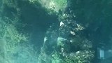 巴厘岛的悬崖泳池