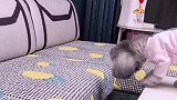 到底谁的动作最完美