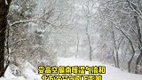 跨年寒潮 西安发布重要天气报告！降雪、吹风、强降温马上来