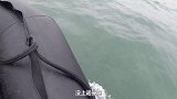 小伙潜水发现古董级地笼，里面都是传说中的好货，在水下都乐开花