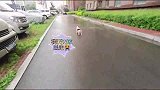 就因为我给它穿的衣服不好看，闹着要离家出走！