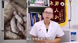 犬猫科普003：母猫咪第一次生小猫咪，存活率高吗？