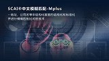 中科聚信中文模糊匹配产品-Mplus