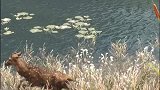 好吧，这是个小河沟
