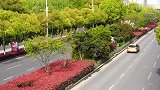 张信哲演唱会上，一白衣男子故意猥亵多名女性？警方回应