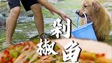 每日忙碌只为三餐，每天劳作只为厨房烟火