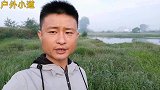 小道大河抓黄鳝，早上去收全是这种黄金条，这资源十年都抓不完