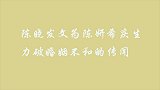 陈晓发文为陈妍希庆生甜喊：祝老婆生日快乐，力破婚姻不和的传闻