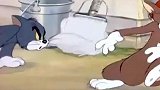 猫和老鼠：杰瑞实力整蛊汤姆和野猫，隔着屏幕都感觉疼！