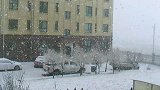 这一场大雪，你那里下雪了吗