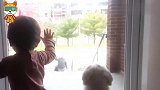 老爸出差半个月回家，接下来宝宝和狗狗的举动，妈妈都快笑岔气了