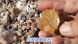 坝下山区收获块黄龙玉，质地瓷面一样，最后一块筋脉黄丝石很美