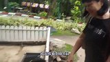 家长让猴子帮忙看孩子，场面搞笑有趣，镜头记录全过程