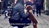 小偷入室行窃遇貌美女主人，欲行不轨，危机时刻狗狗跑了出来